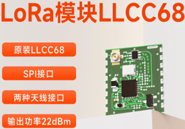 Lora RF Module